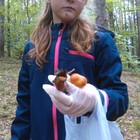 Martyna chyba nie była zadowola, że znalazła tylko pełną siatkę grzybów ;) 