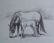 Konie - rysunek, 21x30