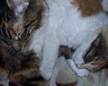 4 miesiące - z mamą