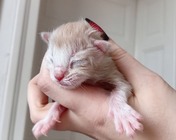 GRAND MASTER (es 09 22)