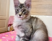 UNBELIEVABLE SPACE (ns 22) zamieszkał w Mysłowicach (15.04.2025)