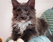 XPERIENCE OF LOVE (a 09) zamieszkała w Potępie (29.06.2025)