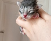 HEAVENLY GIFT (as 09 22)