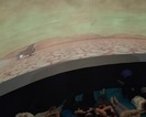 Planetarium