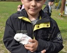 Kucykowe Ranczo w Górkach