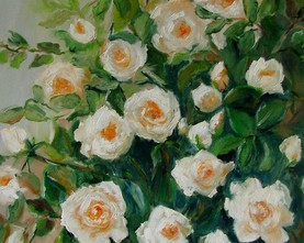 20/Białe róże 50-60cm  370,-