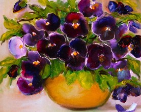 16p/Bratki  25cm-25cm 140,-