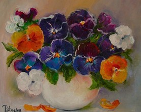 12 b/Bratki 25-30cm 140,-