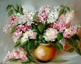 16b/ Bzy 45cm-55cm  460,-