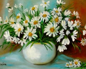 21k/Bukiet rumianków 30-40cm 180,-