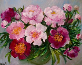 17c/Piwonie  40cm-50cm  420,-