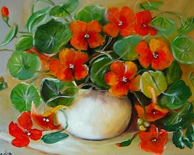 15n/Nasturcje 30cm-40cm 160,-